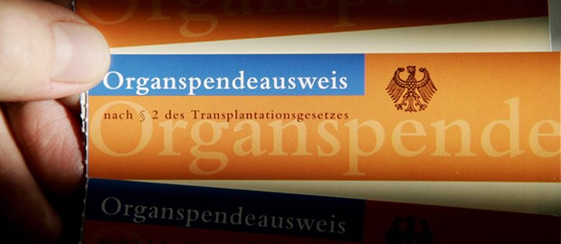 Kassen sollen Organspende-Votum anstupsen Sollen bald mehr Menschen haben: einen Organspendeausweis.