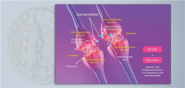 Wirkmechanismus von Solriamfetol
