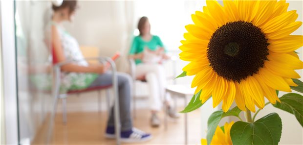 Sonnenblumen sollten nur dann das Wartezimmer schmücken, wenn sie frisch geschnitten in einer Vase stehen. Topfblumen mit Erde dagegen sind Bakterien- und Keimträger.