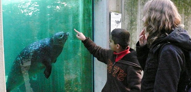 Eine Chance für benachteiligte Schulkinder Spannende neue Erfahrungen im Zoo-Aquarium. Die "Balus" begleiten ihnen anvertraute Kinder und eröffnen ihnen die Chance, sich Neues zu erschließen - jenseits ihrer oft komplizierten Familiensituation.