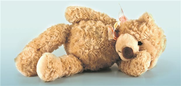 Teddy fasst sich an den Kopf.