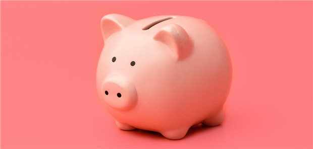 Pflegevorsorgefonds: Regierung weist Kritik an Kürzung der Einzahlungen zurück Ein Sparschwein.