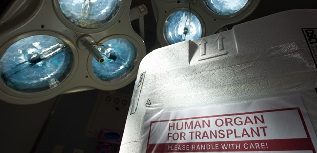 Ein Jahr der Tiefpunkte Spenderorgan im Styroporbehälter. Ein Register soll das Transplantationswesen transparenter machen.