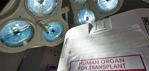 134 Verstöße in Transplantationszentren aufgedeckt Spenderorgan im Styroporbehälter: Eine Kommission hat geprüft, ob es in Transplantationszentren zu Manipulationen kam.