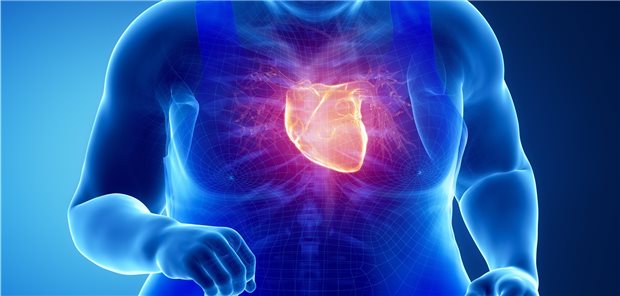 Sport bei Adipositas: Mit Bewegungstraining (plus Placebo-Gabe) verbesserte sich die endothelabhängige Gefäßfunktion stärker als mit Bewegungstraining plus Testosteron-Gabe.