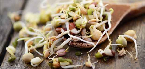 Lebensmittelproduzent ruft Sprossen zurück Sprossen kamen durch den EHEC-Ausbruch vor einigen Jahren in Verruf.