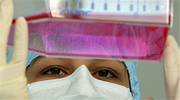 Stammzell-Experimente in der Grauzone Stammzellen: Therapien in der rechtlichen Grauzone.