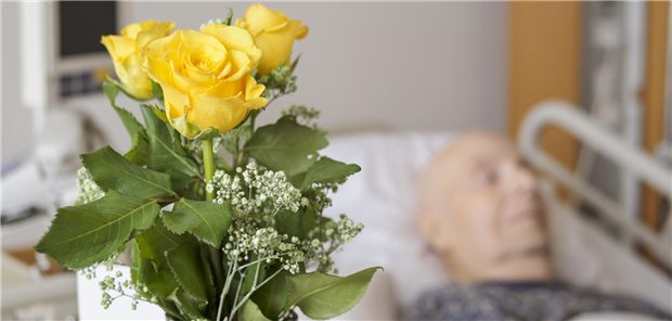 Brandenburg erhält vier neue palliativmedizinische Tageskliniken Stationäre Tageskliniken sollen in Brandenburg künftig Krankenhausaufenthalte verringern.