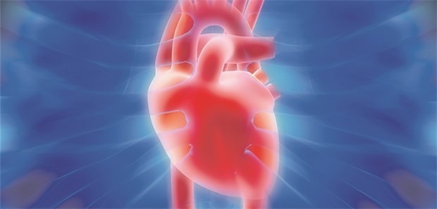 Stress beeinträchtig möglicherweise die kardiovaskuläre Regulation.