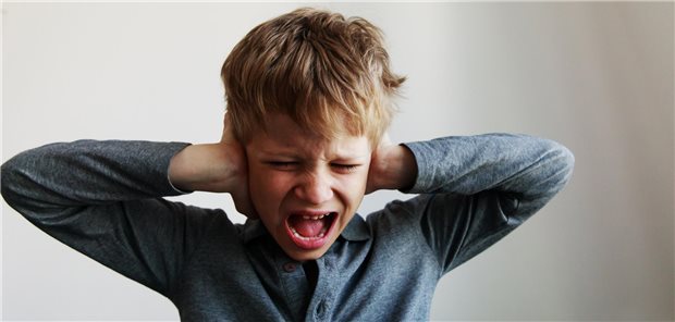 Stress in der Kindheit als Risikofaktor für spätere neuropsychiatrische Erkrankungen.