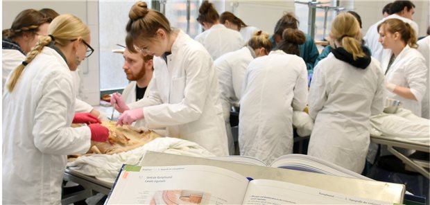 Studenten im Präpariersaal der Medizinischen Fakultät an der Universität Halle-Wittenberg. In Sachsen-Anhalt sollen die eigenen Medizinstudenten stärker im Land gehalten werden.
