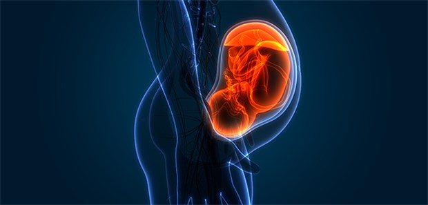 Studiendaten belegen: Auch mit Krebs – untersucht wurden Patientinnen mit CML – müssen Frauen nicht auf ein Kind verzichten.