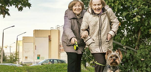 Der Hund als „Knochenbrecher“ Stürzen von Senioren mit Hunden an der Leine, sind die Folgen meist mehr als nur eine Bagatellverletzung.