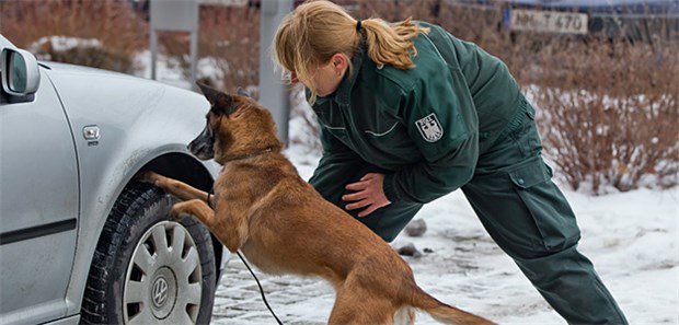 'Geruch ist einmalig wie Fingerabdruck' Suchhunde helfen dem Zoll beim Aufspüren von Rauschgift - doch ebenso kann beim Mantrailing der Geruch von Menschen verfolgt werden.