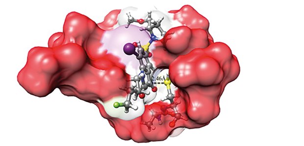 Diese 5 Forscherteams haben sich um den Galenus-Preis beworben Synthese halogenierter Isatin-Sulfonamide © Günter Haufe