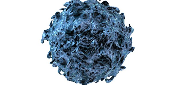 BCG-Impfstoff zur Therapie bei Typ-1-Diabetes? T-Zelle: Wird die Genexpression für regulatorische T-Zellen anhaltend angeregt, könnte dies ein ganz neuer Ansatz zur Therapie bei Typ-1-Diabetes sein.