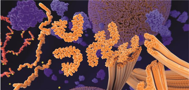 Tau-Proteine lagern sich an den Mikrotubuli an