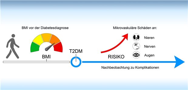 Bei Adipositas leiden Arteriolen und Kapillaren Teilnehmer der EPIC-Potsdam-Studie, die im Verlauf der Nachbeobachtung an Typ-2-Diabetes erkrankten und vor der Diagnose einen erhöhten BMI hatten, zeigten ein erhöhtes Risiko für mikrovaskuläre Komplikationen des Diabetes.