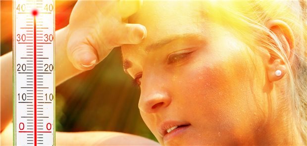 Grünen-Chef fordert Hitzeplan für Deutschland Temperaturen an die 40 Grad: Der Gesundheitsschutz von Bürgern bei Hitzewellen solle gestärkt werden, fordert der Chef der Grünen.