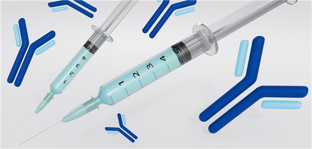 Teplizumab ist ein Antikörper, der an den CD3-Rezeptor der T-Zellen bindet. Dadurch wird die T-zellgesteuerte Autoimmunreaktion gegen die -Zellen beziehungsweise deren Zerstörung minimiert.