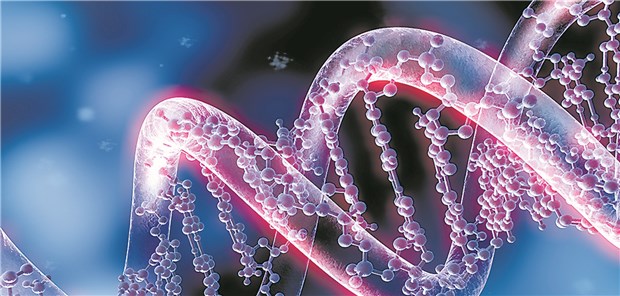 Test auf Brustkrebsgene: Positive Befunde in anderen Genen als BRCA rechtfertigen keine prophylaktische Mastektomie.