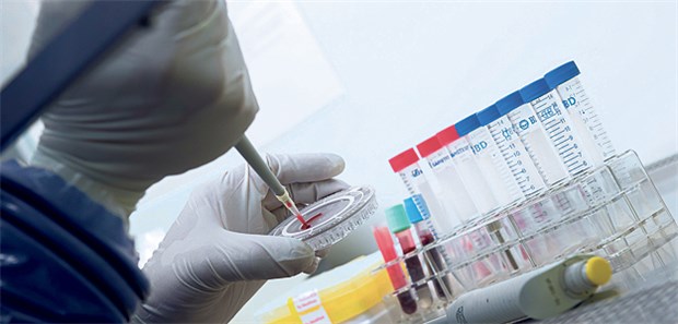 Kanada bietet ungeprüften Impfstoff an Tests an Blutproben unter Hochsicherheitsbedingungen. Bei eventuellen Tests neuer Wirkstoffe gegen Ebola werden sie große Bedeutung gewinnen.