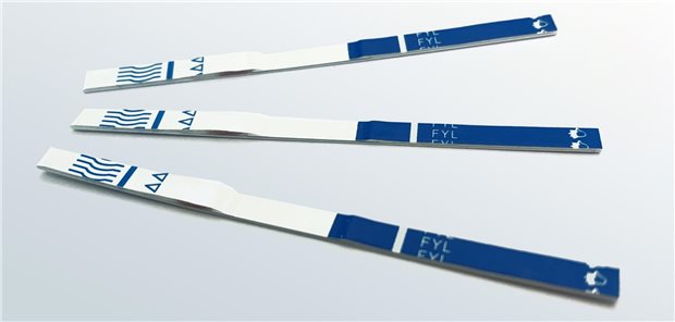 Teststreifen aus dem Fentanyl-Schnelltest