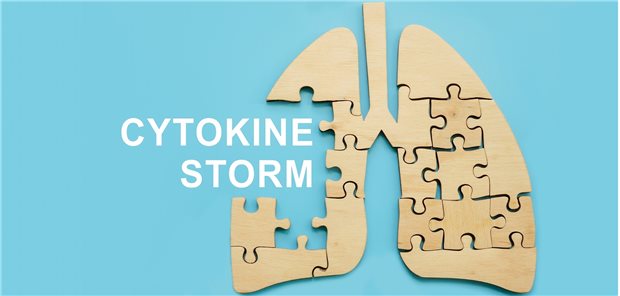 Teufelskreis Zytokinsturm: Massenhaft werden entzündungsrelevante Zytokine freigesetzt, die die Bildung weiterer Zytokine anregen. Dies mündet in Hyperinflammation und Multiorganversagen.