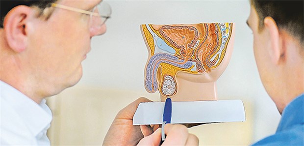 Thema Hodenkrebs: Ärzte dürfen hier gerne Männer auffordern, zur Früherkennung selbst Hand anzulegen.