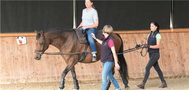 Was Hippotherapie bewirken kann Therapeutisches Reiten kann Alt und Jung helfen, Bewegungsstörungen zu bessern.