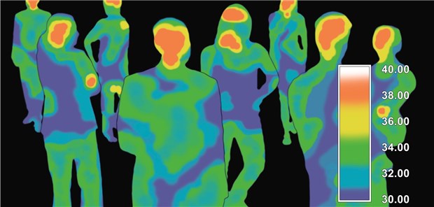 Die mittlere Körpertemperatur der Menschen sinkt Thermografie: Relativ niedrige Körpertemperaturen deuten auf einen niedrigen metabolischen Grundumsatz.