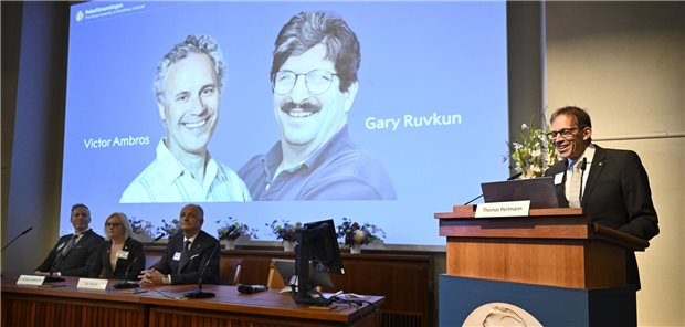 Medizin-Nobelpreis geht an Entdecker der microRNA Thomas Perlmann, Sekretär der Nobelversammlung, verkündet die Gewinner des Nobelpreises für Medizin 2024