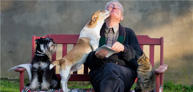 Tier, Mensch und Umwelt zusammen – ihre Gesundheit auch gemeinsam zu denken, ist Kern des „One Health“-Konzepts.