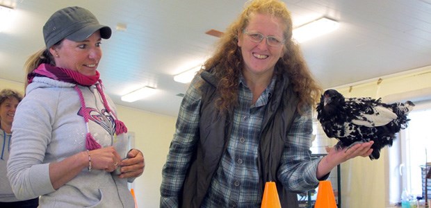 Eine Tierärztin, die Hühner trainiert Tierärztin Viviane Theby (rechts) hält Huhn Marta, links die Hunde- und Pferdetrainerin Sabine Schweiger.