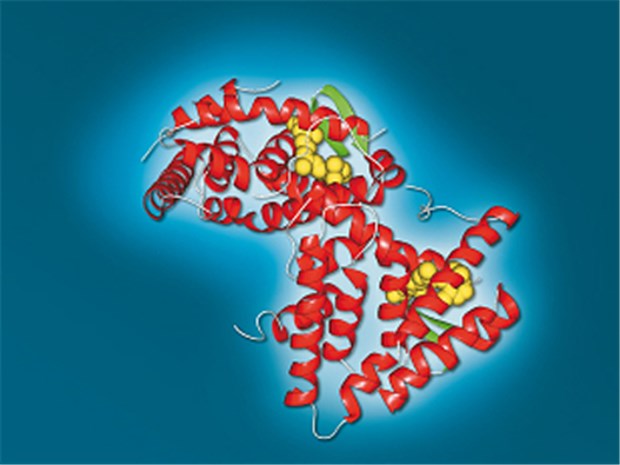 Toctino® enthält Alitretinoin gegen schweres chronisches Handekzem. © Basilea Pharmaceutica