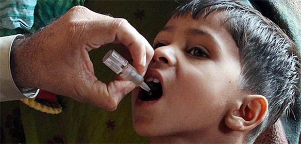 Zwei Polio-Impferinnen in Südpakistan erschossen Tollwutimpfung in Karachi: Durch Impfkampagnen ist die Zahl der Polio-Neuinfektionen in Pakistan von 306 auf acht innerhalb von drei Jahren zurückgegangen.