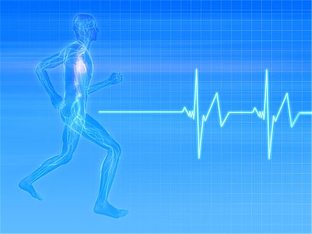Lässt Marathonlauf den Kalk in Koronargefäßen rieseln? Topfit, aber Herzkalk - ist Marathonlaufen doch nicht so gesund? © Sebastian Kaulitzki / fotolia.com