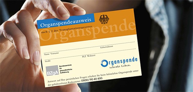 Ärzte sind Spitzenreiter bei der Zustimmung Tragen auch hierzulande mehr Ärzte als Durchschnittsbürger: Organspendeausweis.