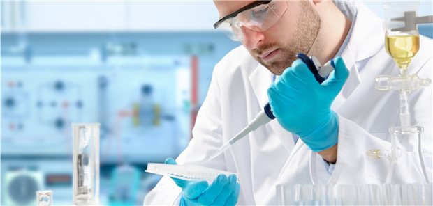 Charité schärft ihr Translationsprofil Translationale Forschung soll unter dem Dach der Charité künftig noch mehr an Fahrt gewinnen.