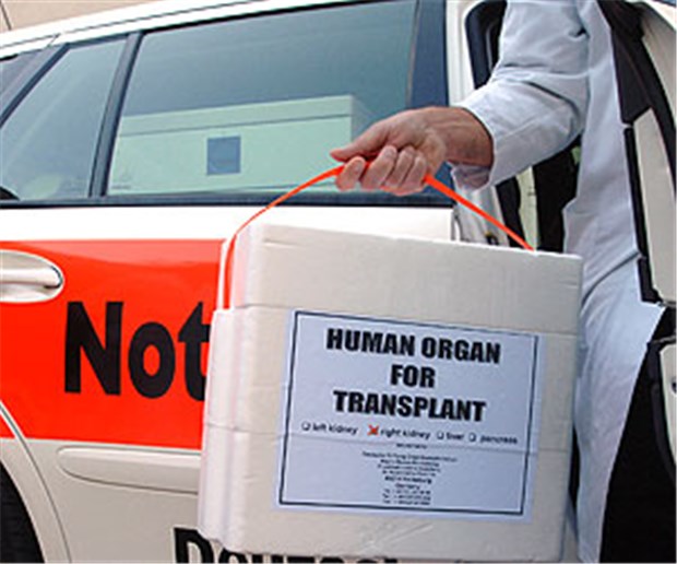 Viele Herzen sind zu lange unterwegs Transport eines Spenderorgans - bei Herzen dauert das zu lange, kritisiert das AQUA-Institut im Qualitätsreport.