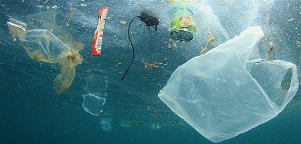 Zieht Mikroplastik schädliche Keime an? Trauriges Bild: Plastikmüll im Wasser.