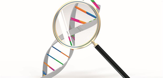 Tumoragnostik: Im Vordergrund steht der Blick auf genetische Veränderungen.