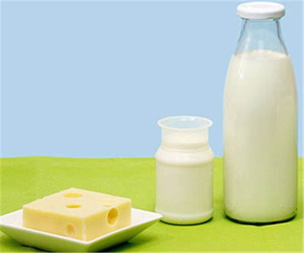 Hauptmahlzeit zum Frühstück Typ-2-Diabetiker sollten proteinbetont frühstücken - zum Beispiel mit Milch und Käse.