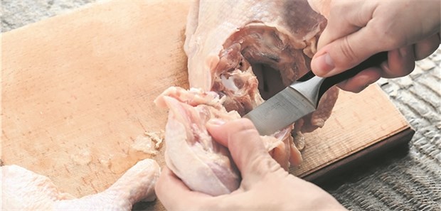 Fast jedes zweite Huhn mit Campylobacter belastet Über Küchenutensilien, mit denen kontaminiertes Hühnerfleisch zubereitet wurde, können auch andere Lebensmittel mit Campylobacter belastet sein.