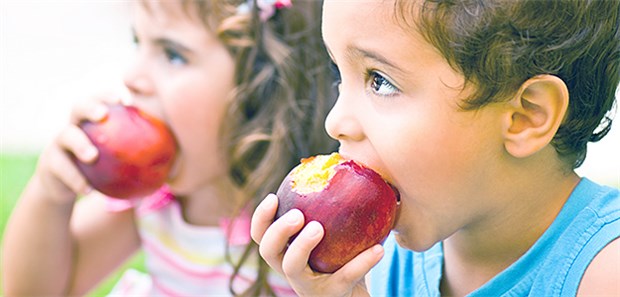 Gesunde Lebensweise in Schule lehren! Über eine gesunde Ernährung sollten nach Ansicht von BÄK-Präsident Reinhardt schon kleine Kinder aufgeklärt werden.
