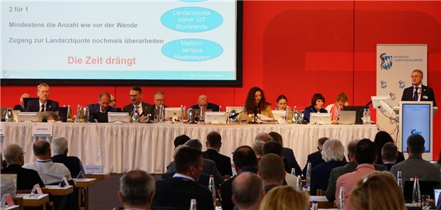 Über fast 50 Entschließungsanträge haben die rund 180 Delegierten am Wochenende beim 82. Bayerischen Ärztinnen- und Ärztetag in Landshut zu beraten und abzustimmen.