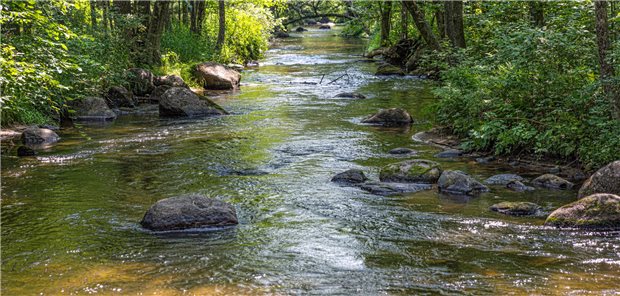 Ein Bach: Über kontaminiertes Wasser hat sich eine 33-jährige Patientin möglicherweise infiziert.