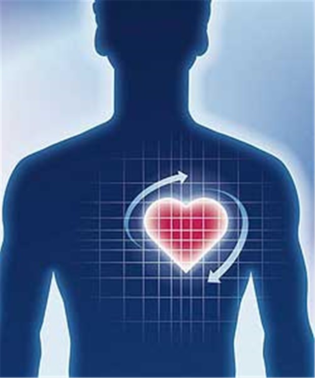 Erst Krebsdiagnose, dann KHK Überdurchschnittlich gefährdet für KHK waren Krebspatienten mit COPD, Adipositas, Diabetes und Hypertonie, so die schwedischen Forscher.