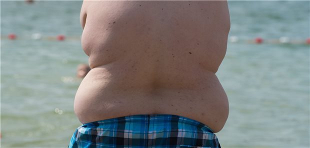 Gesundheitsministerkonferenz will Werbung für ungesunde Lebensmittel weiter einschränken Übergewichtiger Junge am Badesee: Weniger an Kinder gerichtete Werbung für ungesunde Lebensmittel soll dagegen helfen.