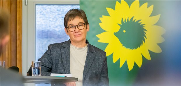 Hessin übernimmt die Berliner Gesundheit Ulrike Gote, designierte Berliner Senatorin für Gesundheit und Wissenschaft, bei der Pressekonferenz der Berliner Grünen zu Personalvorschlägen für deren Senatsressorts.